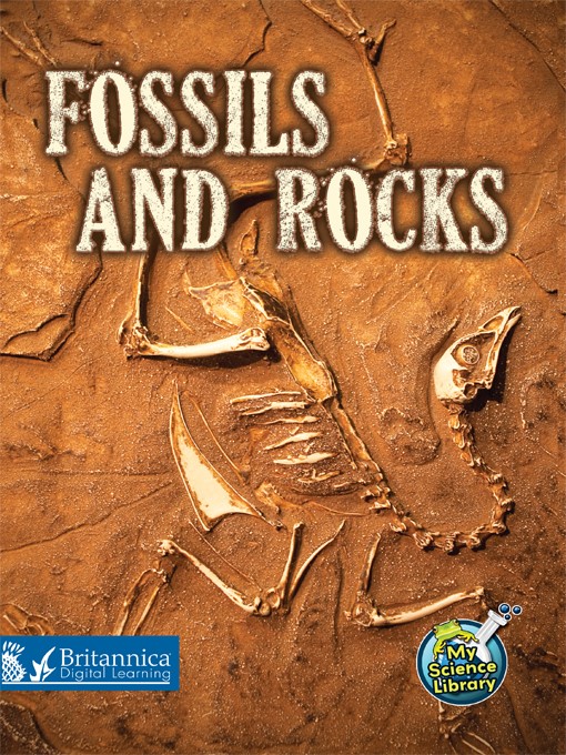 Title details for Fossils and Rocks by Kimberly M. Hutmacher - Available